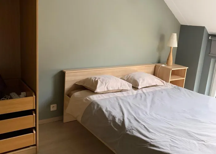 Fully Furnished House, Wifi, Garage Appartement *